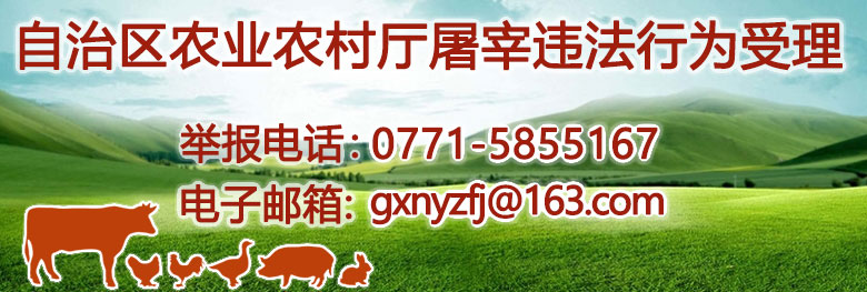 三级片
违反动物防疫和生猪屠宰法律法规行为举报联系方式 三级片
违反动物防疫和生猪屠宰法律法规行为举报联系方式