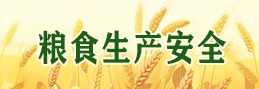 粮食生产安全 粮食生产安全